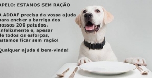 Animais do canil estão sem ração